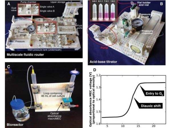 Concept lego pour le&nbsp;labo