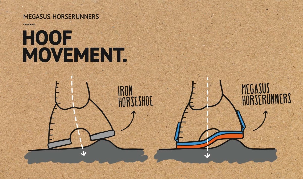 Et le cheval a enfin des chaussures de&nbsp;course